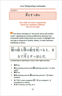 101 Common Japanese Idioms Volume 2