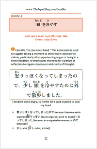 Thumbnail for 101 Common Japanese Idioms Volume 2